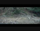 三浦峠走ってみた