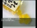 仮面をかぶった黒い死神が幻想入り　第二話　その2