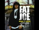 Make It Rain / Fat Joe