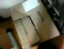 何か・・・・・・いる？