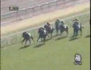 【競馬】2009 01 04　3歳未勝利　ロードクリムゾン