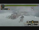 【MHP2G】ハムでファミクシャに挑戦してみた part1
