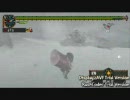 【MHP2G】ハムでファミクシャに挑戦してみた part2