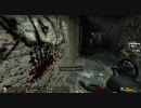 中級者を目指すためのLeft 4 Dead VS動画 vol.4 5/8