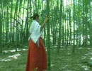 夢神楽　Promotion Disk Test