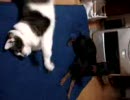 なかよし