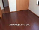 リフレクトサービス　新築美装