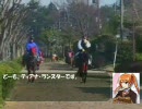 ティアナさんが競馬予想・川崎記念（川崎）