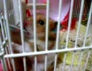 のどが渇いたのでね！