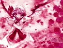 【バトレボ】ホウエン三人娘巡業記５【シングル】