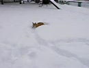 ミルは行きが大好き