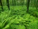 『BGM』-Progressive House/Progressive Trance-
