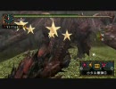 [MHP2G] 一対の巨影１：３５クリア