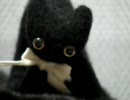 気にしない黒猫　Vol.19