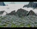 【イルカインストール】緋想天コンボMOVIE【動画】