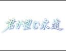 【ウクレレ】 君が望む永遠 【オカリナ】