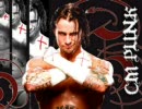 【WWE】 CM Punk 入場テーマ  This Fire Burns  (歌詞付)