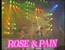 C-C-B　rose&pain