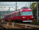 フェニックス復活　パノラマカー