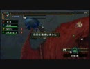 【MHP2G】リポーターrafa【vs寒くて赤く腫れたヤツ】