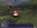 FF11　獣使いでパシュハウ沼でFOVやってみた。