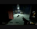 男二人でLeft 4 Dead：expert　ノーコンテニュークリア　part12