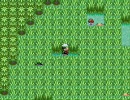 もちもち実況プレイ　ポケモンエメラルド　パート２６