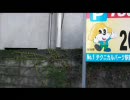 温泉行ってくる　vol.7