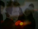 Coconut Records - West Coast