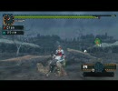 【ＭＨＰ２Ｇ】器用貧乏【下位ゲリョス】