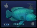 【Wii:Forever Blue】もふーりほっこりダイビング修行プチ実況初プレイpart4-2