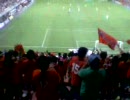 shimizu