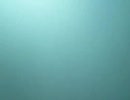ブログ用その５