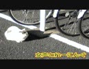 女声とれーにんぐ・４日目（短くしたVer.）