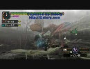 【MHP2G】　暇にあかしてMHP2Gテストプレイ
