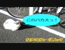 女声とれーにんぐ・１３日目
