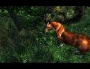 美しい自然を裸足で旅するOblivion Part6