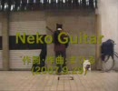 今日のまひるさん　『Neko Guitar』