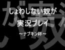 【ナプキン杯】マリオカート実況プレイ【しょわん（？）視点】