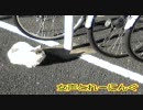 女声とれーにんぐ・１８日目