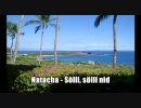 NATACHA - Sölli, sölli nid (Solli, solli nid)