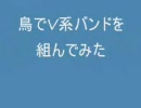 鳥でV系バンド組んでみた
