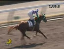 4歳上500万_チョウカイファイト