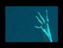 Gackt／seven(ドラパver.)