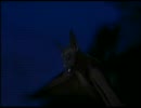 Ampire2（Bampire4） part2