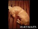 歌ってみるのです。「はじめてのともだち」