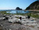 あくてぃヴにカホンin三浦半島