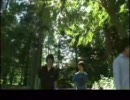sacon リーフ