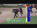 【競馬】 2009 京都記念 アドマイヤオーラのパドック 【競争除外】