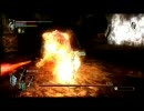 黒帯の俺がデモンズソウル実況プレイ第２０章